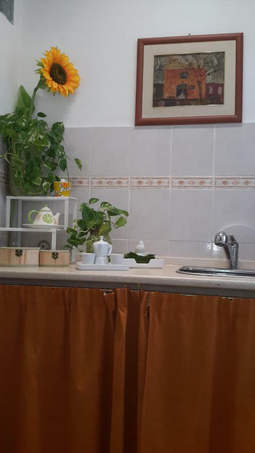 Le Tre Sorelle B&B Garbatella 로마 외부 사진